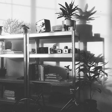 Office shelves with bike